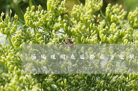 玛瑙理财最近那么多逾期 玛瑙理财最近那么多逾期