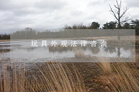玩具外观法律咨询 玩具外观法律咨询