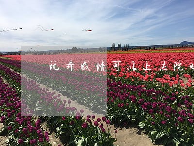 玩弄感情可以上法院吗
