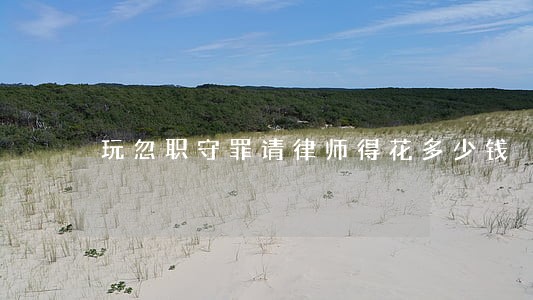 玩忽职守罪请律师得花多少钱 玩忽职守罪请律师得花多少钱