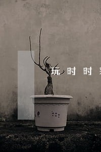 玩时时彩做代理违法吗 玩时时彩做代理违法吗