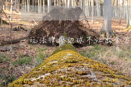 玩法律擦边球不让出金亏损可挽回 玩法律擦边球不让出金亏损可挽回