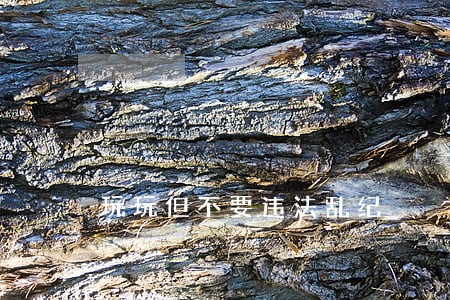 玩玩但不要违法乱纪 玩玩但不要违法乱纪