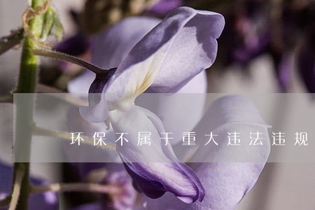 环保不属于重大违法违规