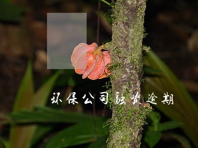 环保公司融资逾期 环保公司融资逾期