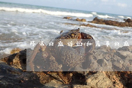 环保公益诉讼和民事公益诉讼 环保公益诉讼和民事公益诉讼