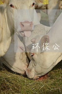 环保公益诉讼如何组织证据 环保公益诉讼如何组织证据