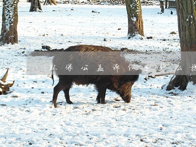 环保公益诉讼是什么提出来的 环保公益诉讼是什么提出来的