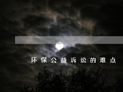 环保公益诉讼的难点