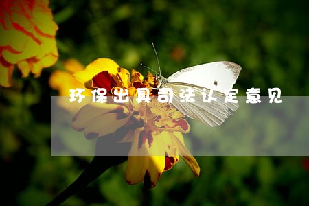 环保出具司法认定意见