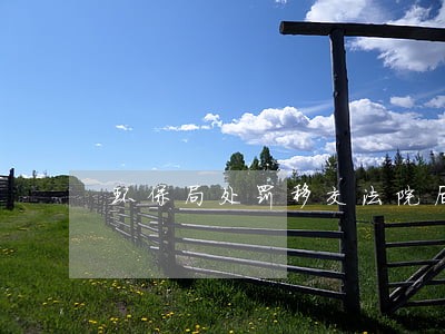 环保局处罚移交法院后的程序 环保局处罚移交法院后的程序