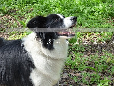 环保局对违法土法炼油的处罚 环保局对违法土法炼油的处罚