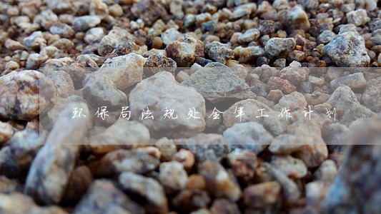 环保局法规处全年工作计划 环保局法规处全年工作计划