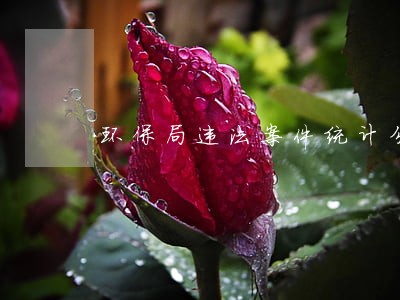 环保局违法案件统计分析报告 环保局违法案件统计分析报告