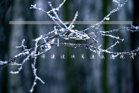 环保建设项目违法违规清理要求