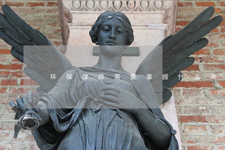 环保律师需要掌握什么法律知识 环保律师需要掌握什么法律知识