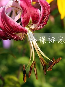 环保标志逾期罚款吗 环保标志逾期罚款吗