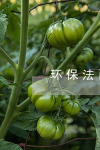 环保法两高司法全文 环保法两高司法全文
