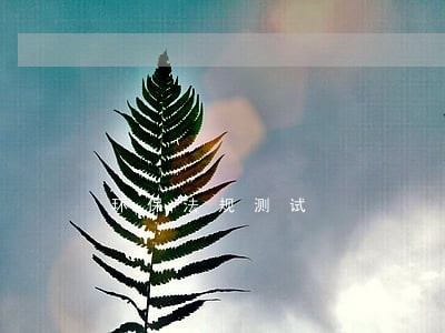环保法规测试 环保法规测试