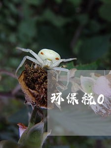 环保税0申报逾期 环保税0申报逾期