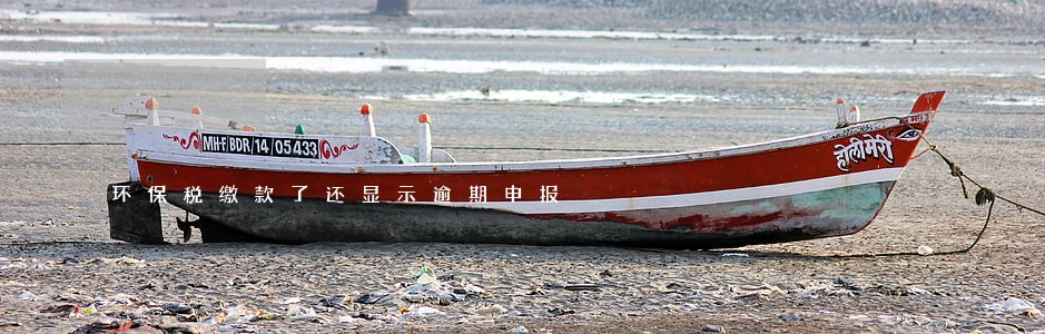 环保税缴款了还显示逾期申报