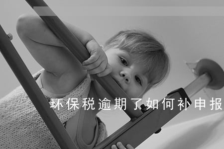 环保税逾期了如何补申报 环保税逾期了如何补申报