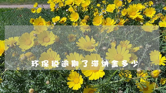 环保税逾期了滞纳金多少 环保税逾期了滞纳金多少