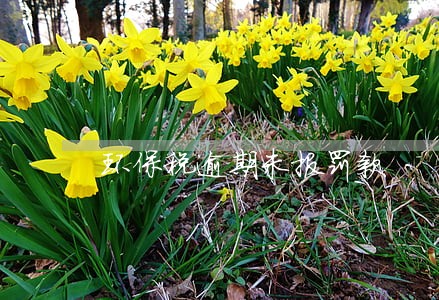 环保税逾期未报罚款