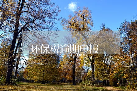 环保税逾期申报 环保税逾期申报