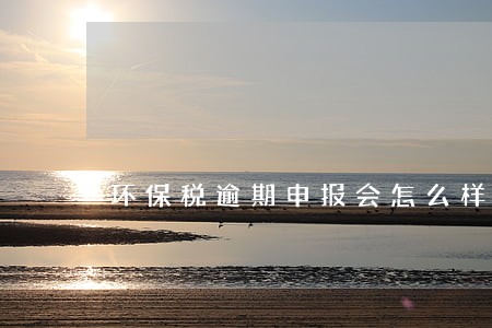 环保税逾期申报会怎么样 环保税逾期申报会怎么样