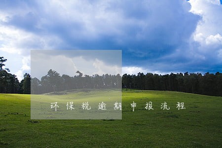 环保税逾期申报流程 环保税逾期申报流程