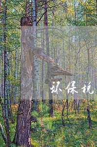 环保税逾期申报行政处罚 环保税逾期申报行政处罚