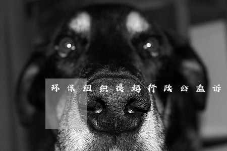 环保组织提起行政公益诉讼 环保组织提起行政公益诉讼