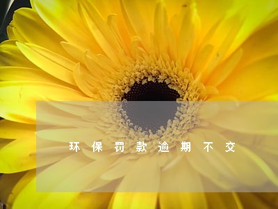 环保罚款逾期不交 环保罚款逾期不交
