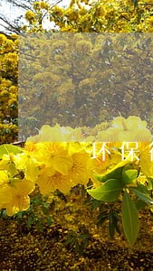 环保行政公益诉讼电镀