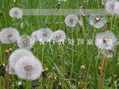 环保行政处罚案律师法律咨询 环保行政处罚案律师法律咨询