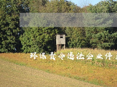 环保责令违法企业停产期限