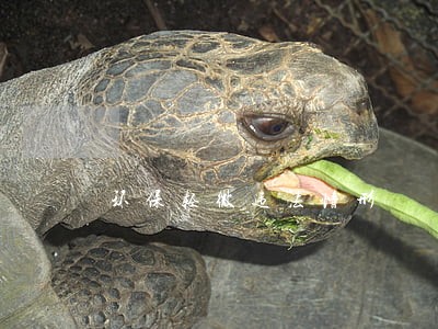 环保轻微违法情形 环保轻微违法情形