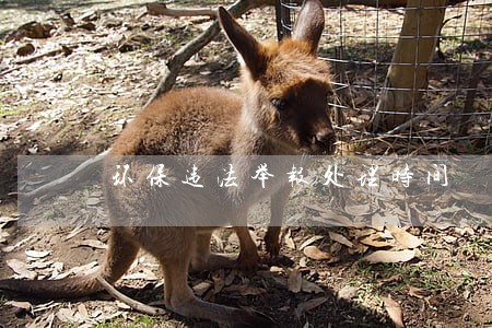 环保违法举报处理时间 环保违法举报处理时间