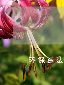 环保违法免予处罚 环保违法免予处罚