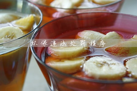 环保违法处罚程序 环保违法处罚程序