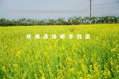 环保违法拒不改正 环保违法拒不改正