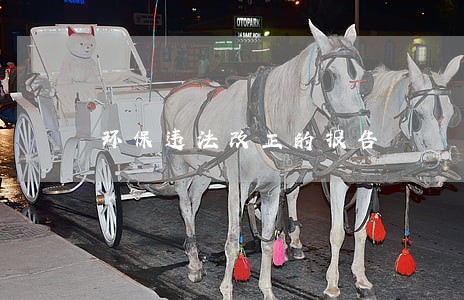 环保违法改正的报告