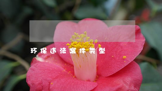 环保违法案件类型