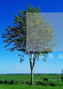 环保违法问题整治不力原因分析 环保违法问题整治不力原因分析
