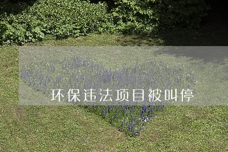 环保违法项目被叫停 环保违法项目被叫停
