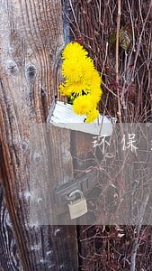 环保逾期罚款 环保逾期罚款