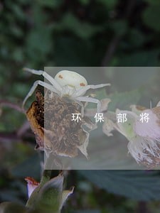 环保部将对环境违法保持高压 环保部将对环境违法保持高压