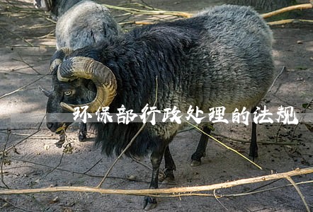 环保部行政处理的法规 环保部行政处理的法规