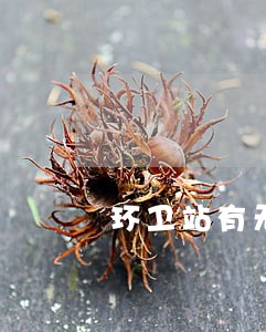 环卫站有无诉讼主体资格 环卫站有无诉讼主体资格
